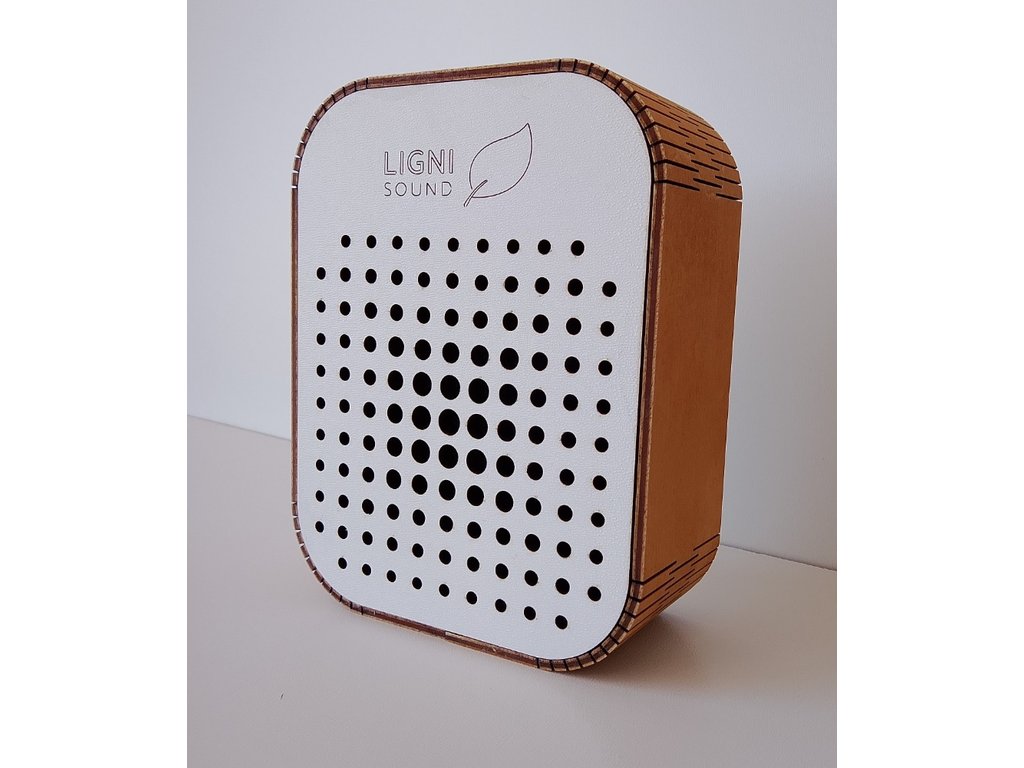 BLUETOOTH REPRODUKTOR